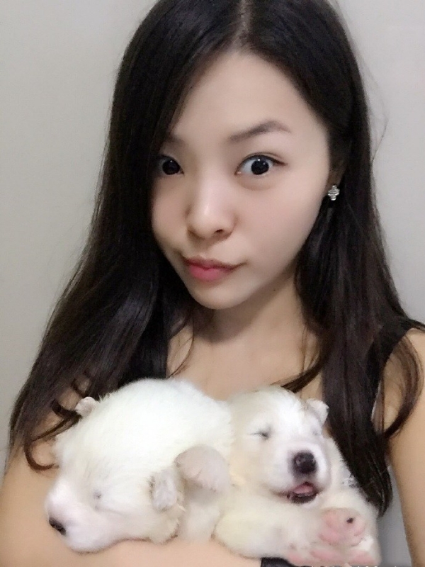 如果可以的第三张照片--淄博相亲服务中心