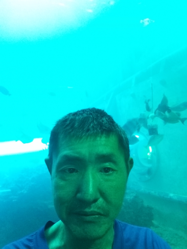 陸戰隊的第一张照片--淄博相亲服务中心