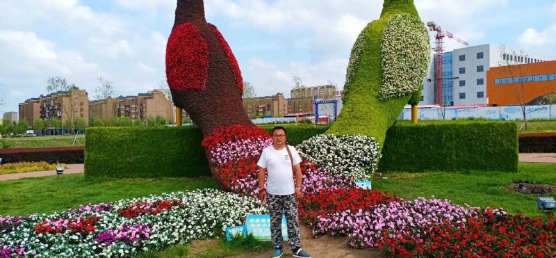 尘埃的第一张照片--淄博相亲服务中心