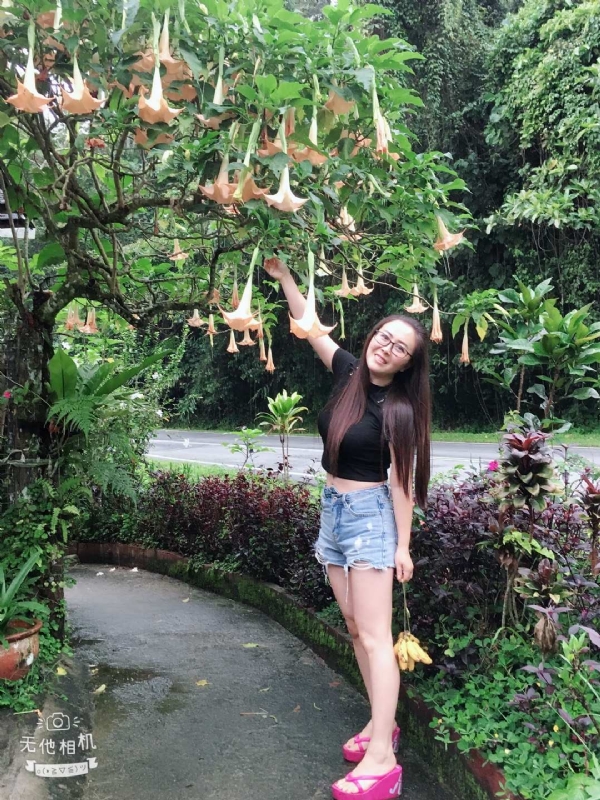 离异单身无子的第二张照片--淄博相亲服务中心