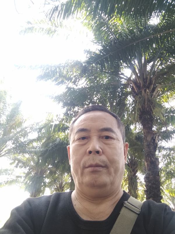 重振雄风的第二张照片--淄博相亲服务中心