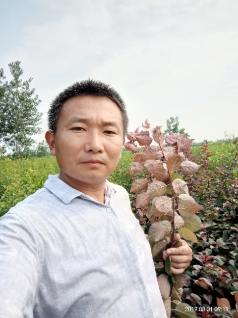 孩子爸的第一张照片--淄博相亲服务中心