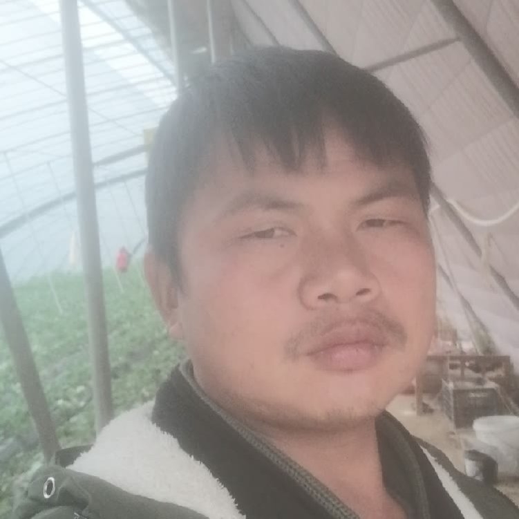 孤狼‘的第一张照片--淄博相亲服务中心