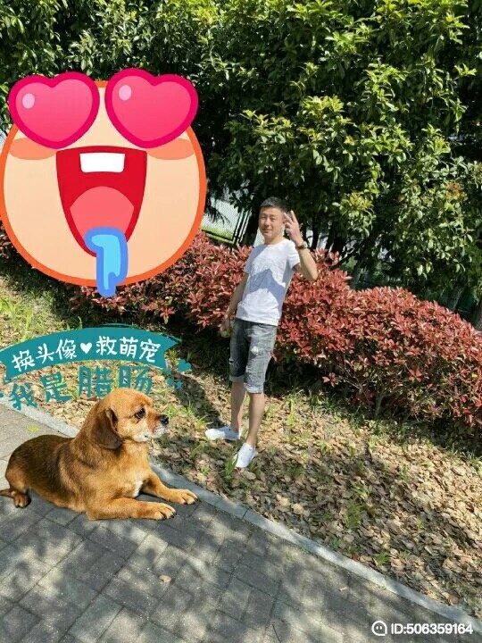 我若不坚强谁替我勇敢的第五张照片--淄博相亲服务中心