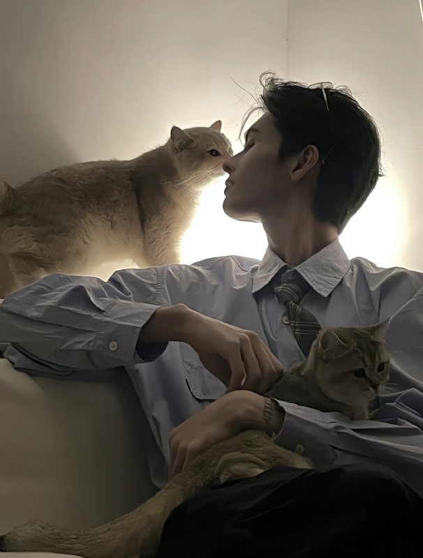 怪猫的第一张照片--淄博相亲服务中心