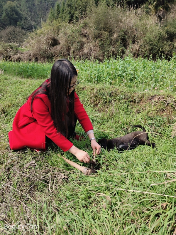 下一个春和秋的第一张照片--淄博相亲服务中心