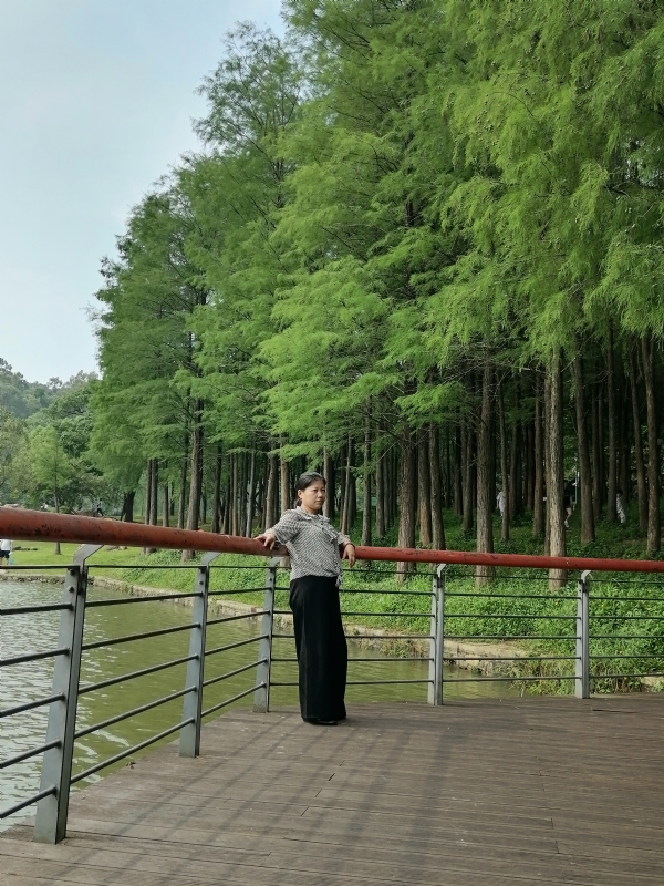 遗失的记忆的第二张照片--淄博相亲服务中心