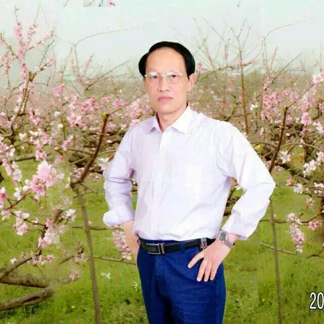 枫叶的第一张照片--淄博相亲服务中心